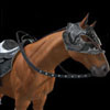 horse_2